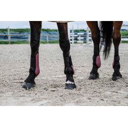Paratendini Equithème Bordeaux