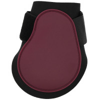 Paratendini Equithème