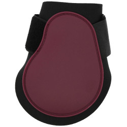 Paratendini Equithème Bordeaux