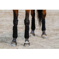 Fasce da polo Equithème set da 4 Nero