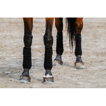 Fasce da polo Equithème set da 4 Nero