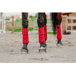 Fasce da polo Equithème set da 4 Rosso Fasce da polo Equithème set da 4 Rosso