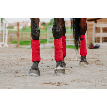 Fasce da polo Equithème set da 4 Rosso Fasce da polo Equithème set da 4 Rosso