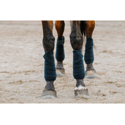 Fasce da polo Equithème set da 4 Verde scuro