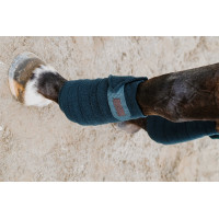 Fasce da polo Equithème set da 4 Verde scuro