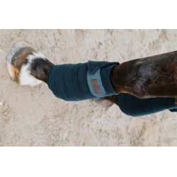 Fasce da polo Equithème set da 4 Verde scuro