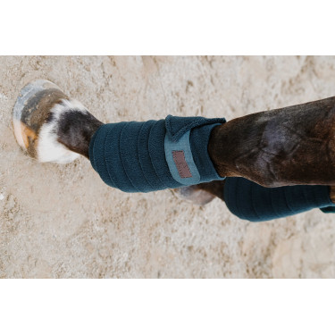 Fasce da polo Equithème set da 4 Verde scuro