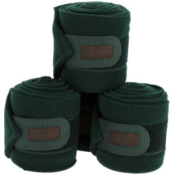 Fasce da polo Equithème set da 4 Verde scuro