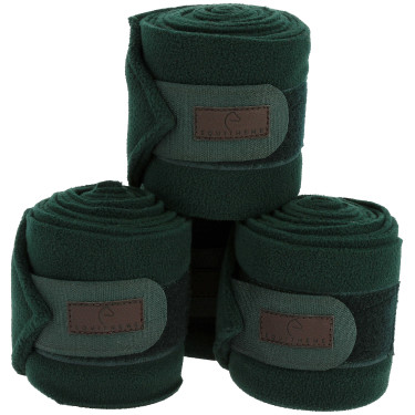 Fasce da polo Equithème set da 4 Verde scuro