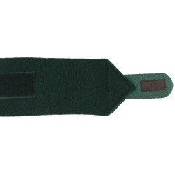 Fasce da polo Equithème set da 4 Verde scuro