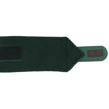 Fasce da polo Equithème set da 4 Verde scuro