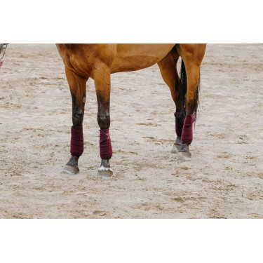 Fasce da polo Equithème set da 4 Bordeaux Fasce da polo Equithème set da 4 Bordeaux
