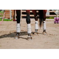 Fasce da polo Equithème set da 4 Bianco