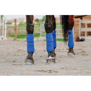 Fasce da polo Equithème set da 4 Blu reale