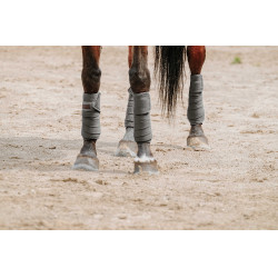 Fasce da polo Equithème set da 4 Grigio