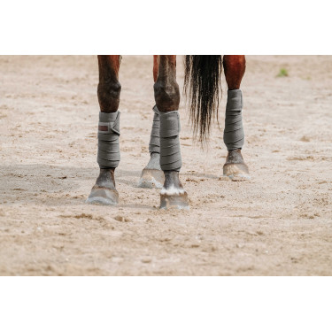 Fasce da polo Equithème set da 4 Grigio