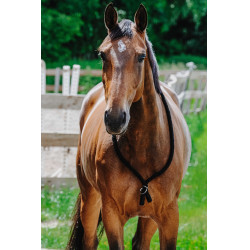 Cordicella Norton Nero