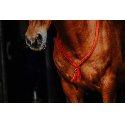 Cordicella Norton Rosso