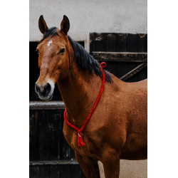 Cordicella Norton Rosso