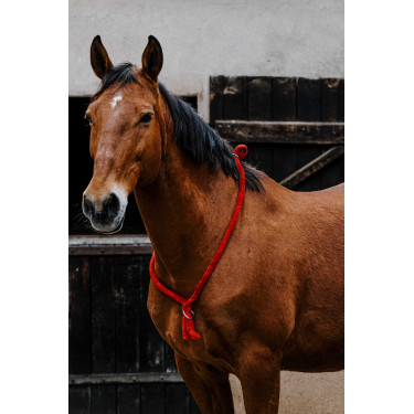 Cordicella Norton Rosso