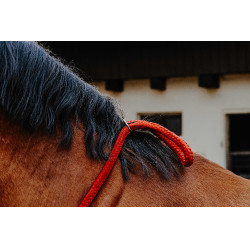 Cordicella Norton Rosso