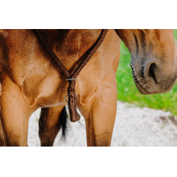 Cordicella Norton Marrone