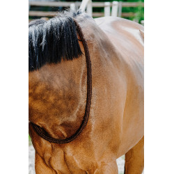 Cordicella Norton Marrone