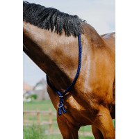 Cordicella Norton Blu reale