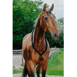 Cordicella Norton Marina Blu marino