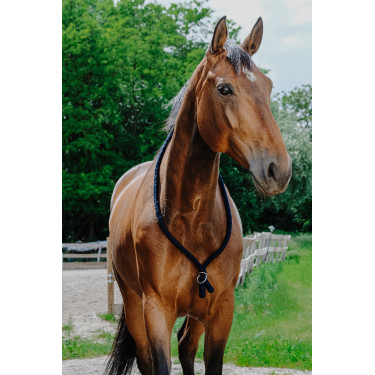 Cordicella Norton Marina Blu marino