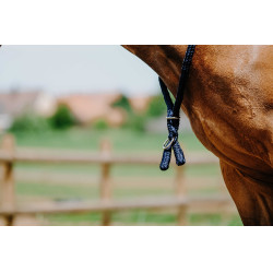 Cordicella Norton Marina Blu marino