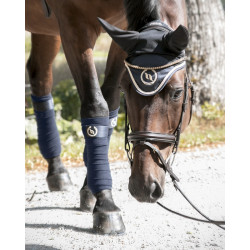Bonnet cheval Night Collection Back On Track