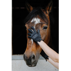 Guanti Je t'aime Equithème Strass Nero