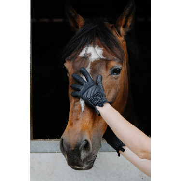 Guanti Je t'aime Equithème Strass Nero
