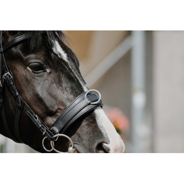 Cavezzone largo Norton Nero