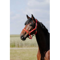 Capezzina Riding World Cushion Bordeaux