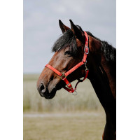 Capezzina Riding World Cushion Bordeaux
