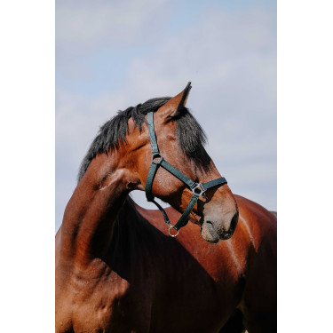 Capezzina Riding World Cushion Verde scuro