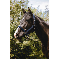 Capezzina in nylon Equithème Protector Verde