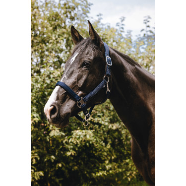 Capezzina in nylon Equithème Protector Marina Blu marino