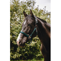 Capezzina in nylon Equithème Protector Verde