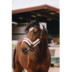 Capestro in nylon Equithème Fashion Marrone