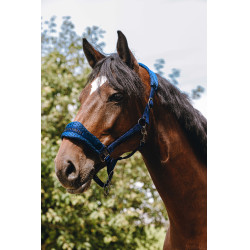 Capestro in nylon Equithème 3D Mesh Blu reale