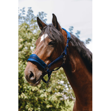 Capestro in nylon Equithème 3D Mesh Blu reale