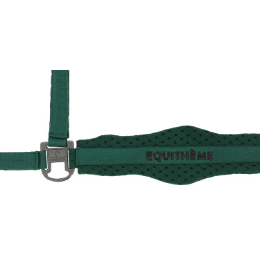 Capestro in nylon Equithème 3D Mesh Verde Capestro in nylon Equithème 3D Mesh Verde