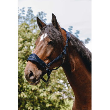 Capestro in nylon Equithème 3D Mesh Marina Blu marino
