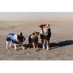 Coperta per cane Equithème New Market Marina Blu marino