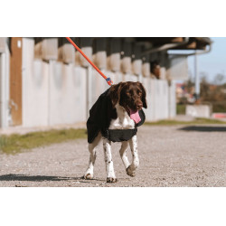 Coperta per cane Equithème Softshell Nero