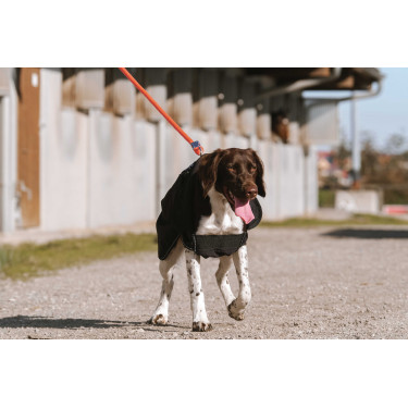 Coperta per cane Equithème Softshell Nero