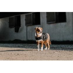 Coperta per cane Ti amo Equithème Nero